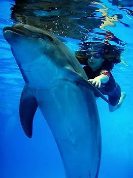 Отель Nemo & Одесса