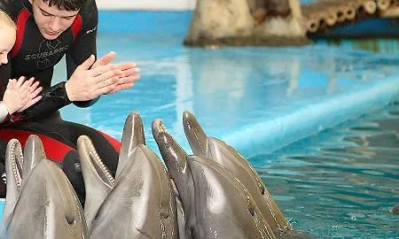 Отель Nemo & 5*